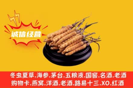 营口回收冬虫夏草